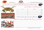 الدرس السادس النحلة والزهر_Page_2.jpg