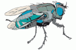 image002.gif