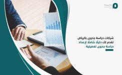 شركات دراسة جدوى بالرياض تقدم لك دليلًا شاملًا لإعداد دراسة جدوى تفصيلية.jpg