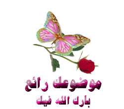 domain-8339c7b6e4.gif